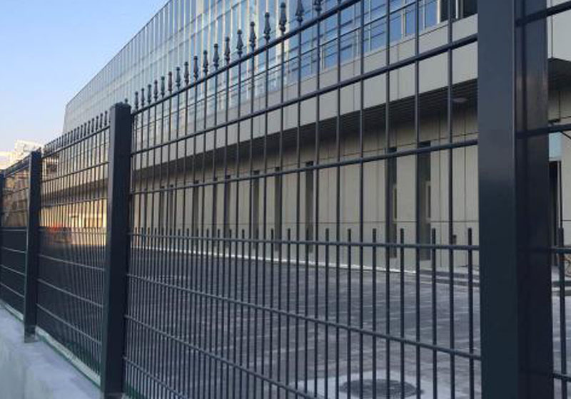 大興體育中心 大興體育中心